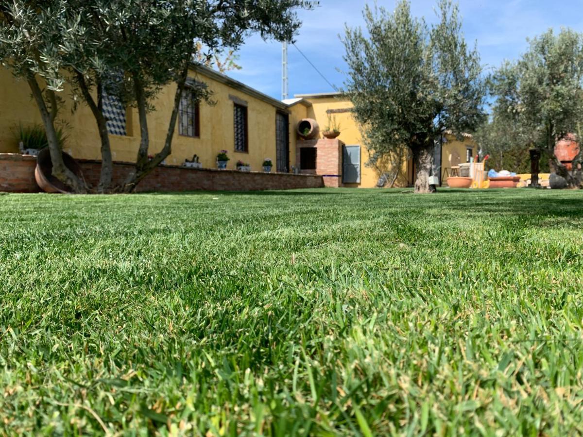Cortijo Bustamante Konuk evi Baza Dış mekan fotoğraf