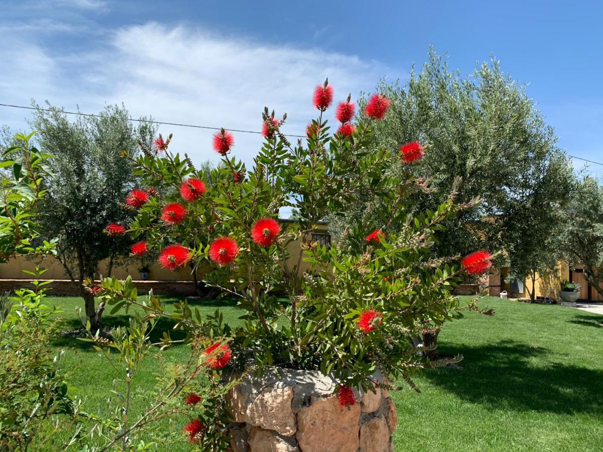 Cortijo Bustamante Konuk evi Baza Dış mekan fotoğraf