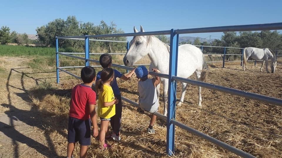 Cortijo Bustamante Konuk evi Baza Dış mekan fotoğraf
